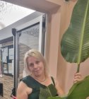 Sãotavares